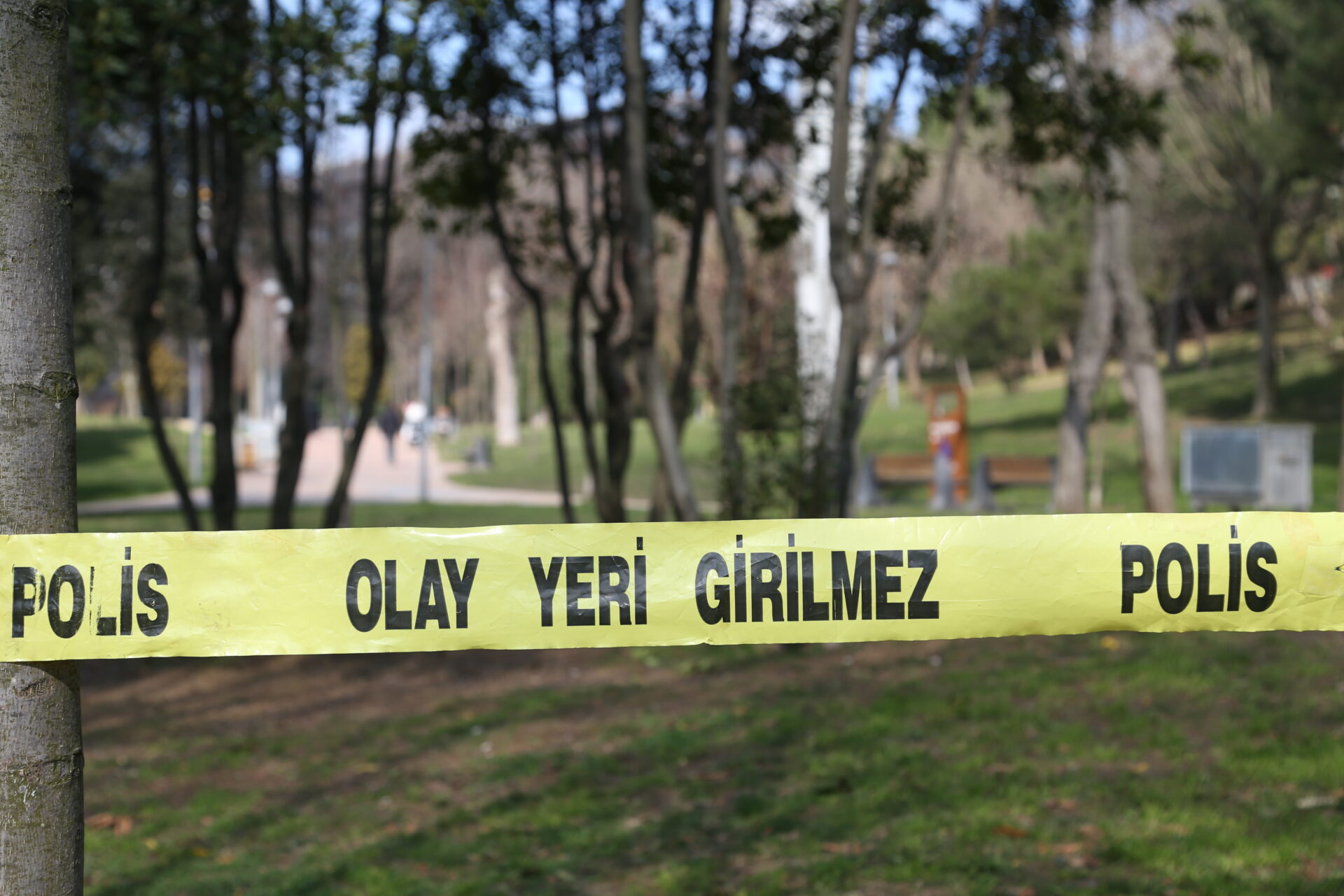 Fotoğraf: Şehlem Kaçar