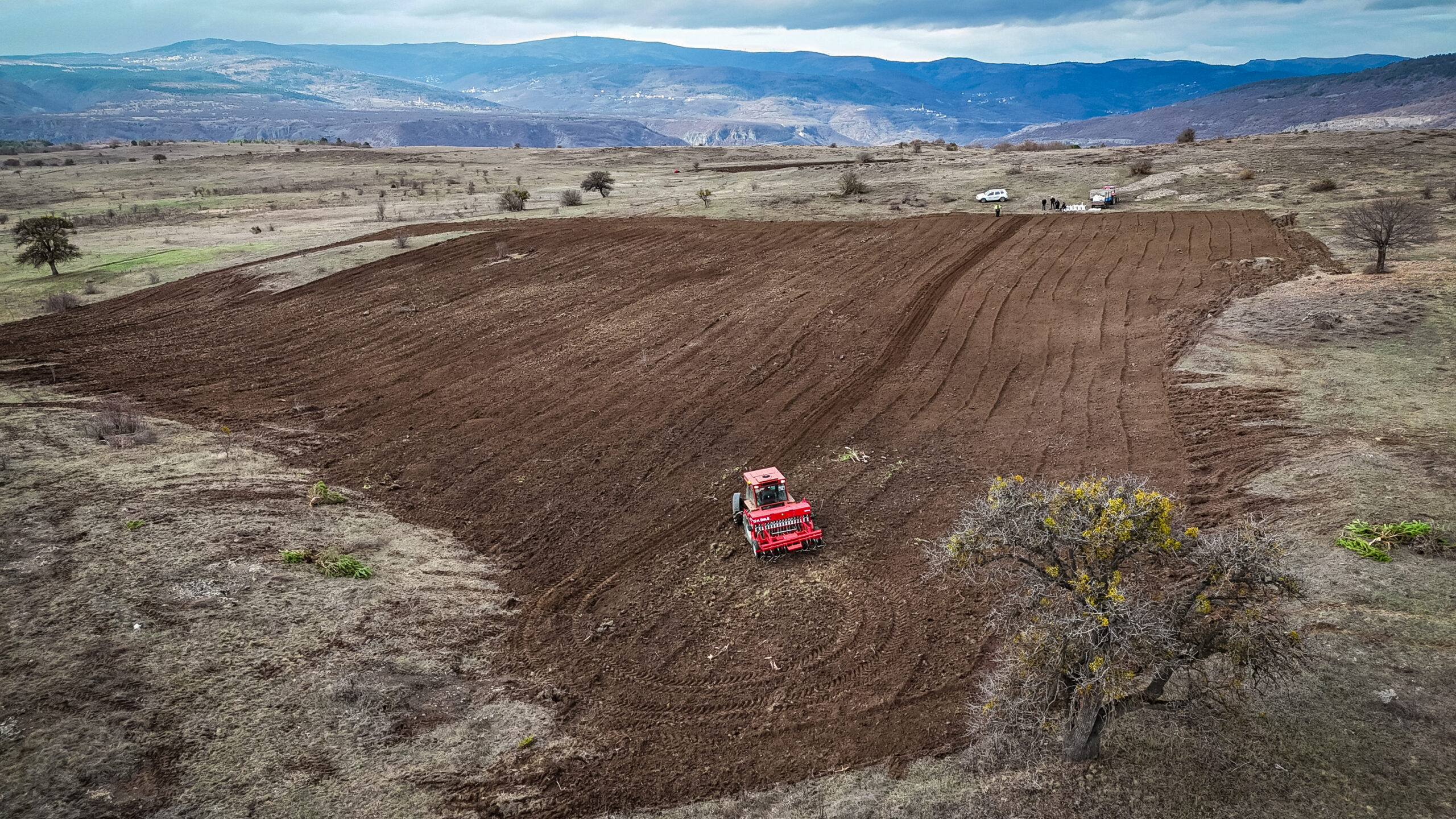 Emrah Muammer Özer’in tarım yaptığı araziden bir görüntü.