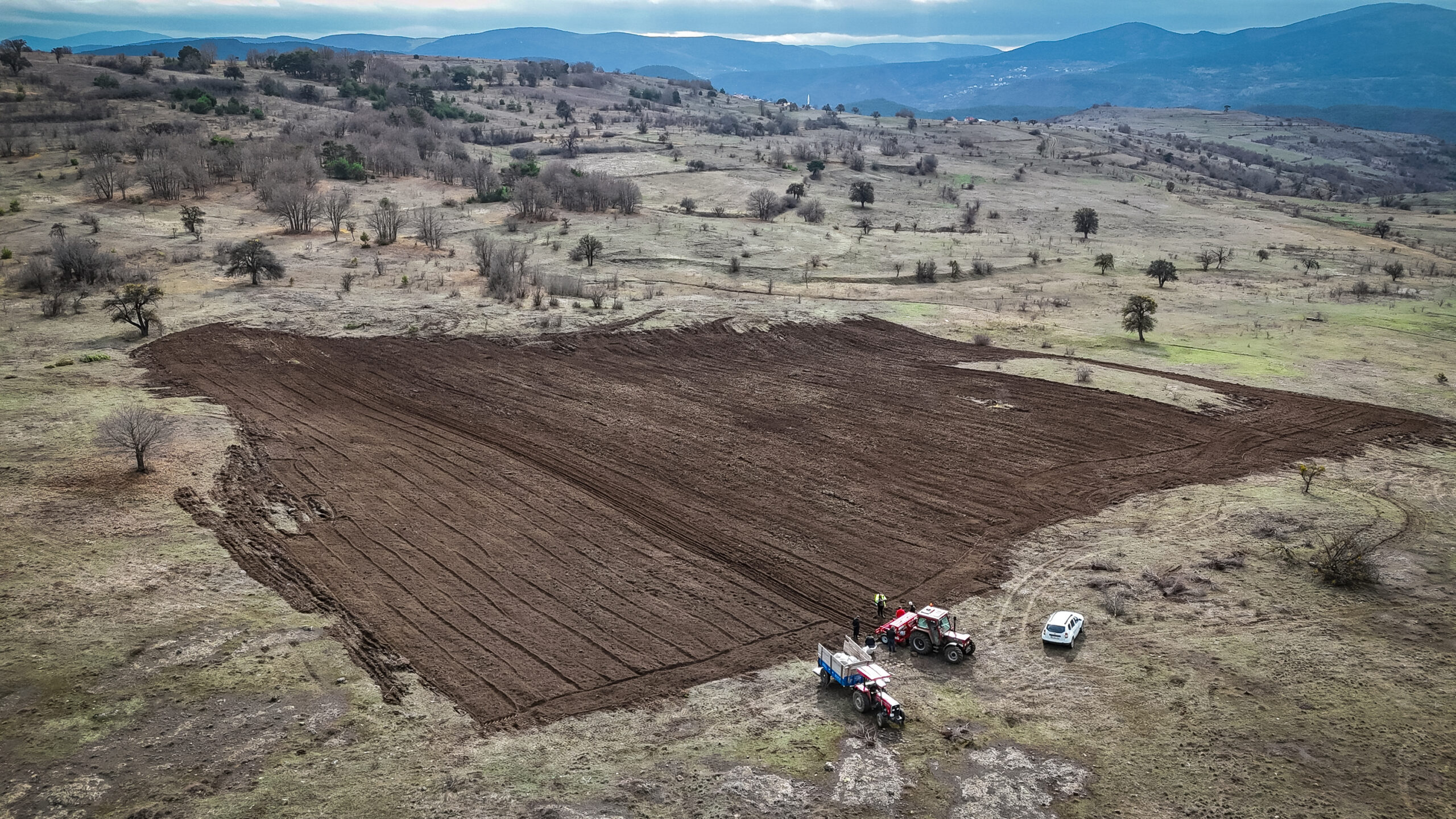 Emrah Muammer Özer’in tarım yaptığı araziden bir görüntü.