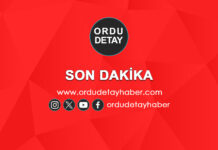 Ordu Detay Haber son dakika gelişmesini duyurmak için kullanılan acil haber görseli.